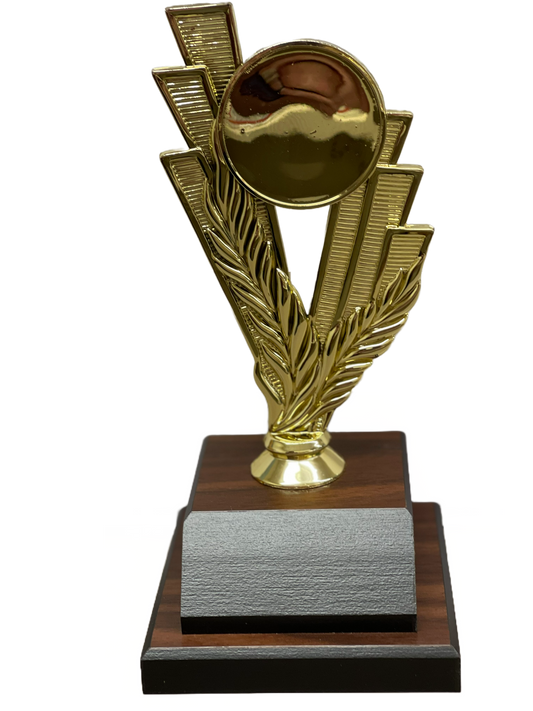 Olympians Triumph Trophy 4-Year Award